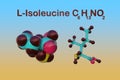 Structural chemical formula and molecular model of l-isoleucine or isoleucine, an amino acid used in the biosynthesis of