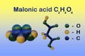 Structural chemical formula and molecular model of malonic acid, also called propanedioic acid. Its diethyl ester is