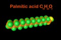 Structural chemical formula and molecular model of palmitic acid palm oil, the most common saturated fatty acid