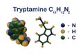 Structural chemical formula and molecular model of tryptamine, a monoamine alkaloid, structurally similar to the amino