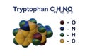 Structural chemical formula and molecular model of tryptophan, a naturally occurring essential amino acid that is