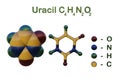 Structural chemical formula and molecular model of uracil, one of four chemical bases that are part of DNA and RNA Royalty Free Stock Photo