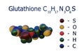 Structural chemical formula and space-filling molecular model of glutathione isolated on white background. Glutathione Royalty Free Stock Photo