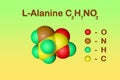 Structural chemical formula and space-filling molecular model of l-alanine or alanine, an amino acid used in the Royalty Free Stock Photo