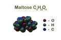 Structural chemical formula and space-filling molecular model of maltose or malt sugar, a disaccharide formed from two