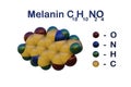 Structural chemical formula and space-filling molecular model of melanin, a skin pigment that gives human skin, hair and