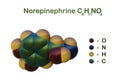 Structural chemical formula and space-filling molecular model of norepinephrine that functions in the brain and body as
