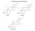 Structural chemical formulas of corticosteroids - glucocorticoids Royalty Free Stock Photo