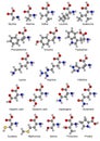 Structural chemical formulas of twenty basic amino acids