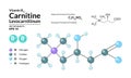 Structural chemical molecular formula and model of Carnitine. Atoms are represented as spheres with color coding