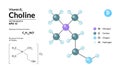 Structural chemical molecular formula and model of choline. Atoms are represented as spheres with color coding Royalty Free Stock Photo