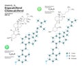 Structural chemical molecular formula and model of Ergocalciferol and Cholecalciferol. Atoms are represented as spheres Royalty Free Stock Photo