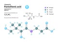 Structural chemical molecular formula and model of pantothenic acid. Atoms are represented as spheres with color coding Royalty Free Stock Photo