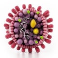 Structural detail of Hepatitis B virus isolated on white. 3D illustration