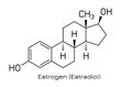 Estrogen hormone formula Royalty Free Stock Photo