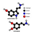 Structural formulas of so-called happiness hormones.