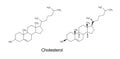 Structural formulas of cholesterol molecule