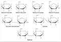 Structural formulas of the main saccharides
