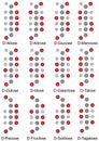 Structural formulas of monosaccharides (hexoses) Royalty Free Stock Photo