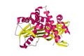 Structural mechanism of hormone release in thyroxine binding globulin. Ribbons diagram in secondary structure coloring