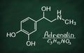 Structural model of Adrenalin