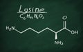 Structural model of Lysine