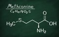 Structural model of Methionine