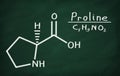 Structural model of Proline