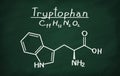 Structural model of Tryptophan