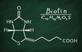 Structural model of Vitamin B6 Biotin