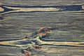 Structural wooden surface. Dark wooden board. Royalty Free Stock Photo