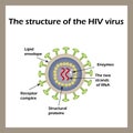 The structure of the AIDS virus. HIV. Vector illustration