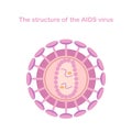 The structure of the AIDS virus. Medical infographics