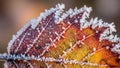 Structure. The background is softly blurred emphasizing the frost s Royalty Free Stock Photo