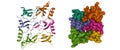 Structure of CC chemokine ligand 5 CCL5 oligomer Royalty Free Stock Photo