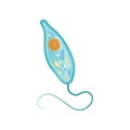 Structure of cell under microscope. Micro organism concept. Icon in flat style. Vector design for medicine infographic