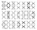 Structure of chromosomes sketch