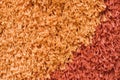 Structure of a colour beautiful carpet