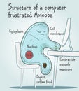 Structure of a computer frustrated Ameoba