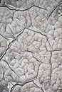 Structure cracked soil earth texture Royalty Free Stock Photo