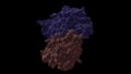 Structure of cyclin-dependent kinase 2 (CDK2, blue) in complex with cyclin E (pink)