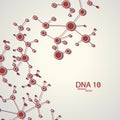 Structure of DNA eps10 Royalty Free Stock Photo