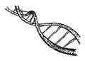 Structure of DNA Royalty Free Stock Photo