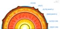 structure of earth, geography infographic concept. 3D Illustration.