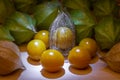 Healthy and delicious physalis.Sharp light from above Royalty Free Stock Photo