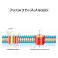 Structure of the GABA receptor Royalty Free Stock Photo