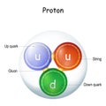 Structure of a gluon. elementary particle Royalty Free Stock Photo