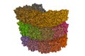 Structure of the helical Measles virus nucleocapsid