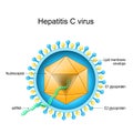 Structure of Hepatitis C virus. Virion anatomy