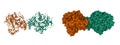 Structure of human acetylcholinesterase